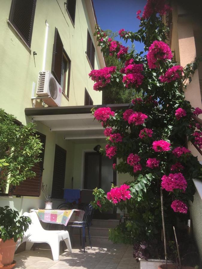 Greenhouse Family Apartments ラバック エクステリア 写真